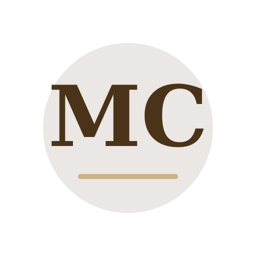 Melvi Chimney Services logo